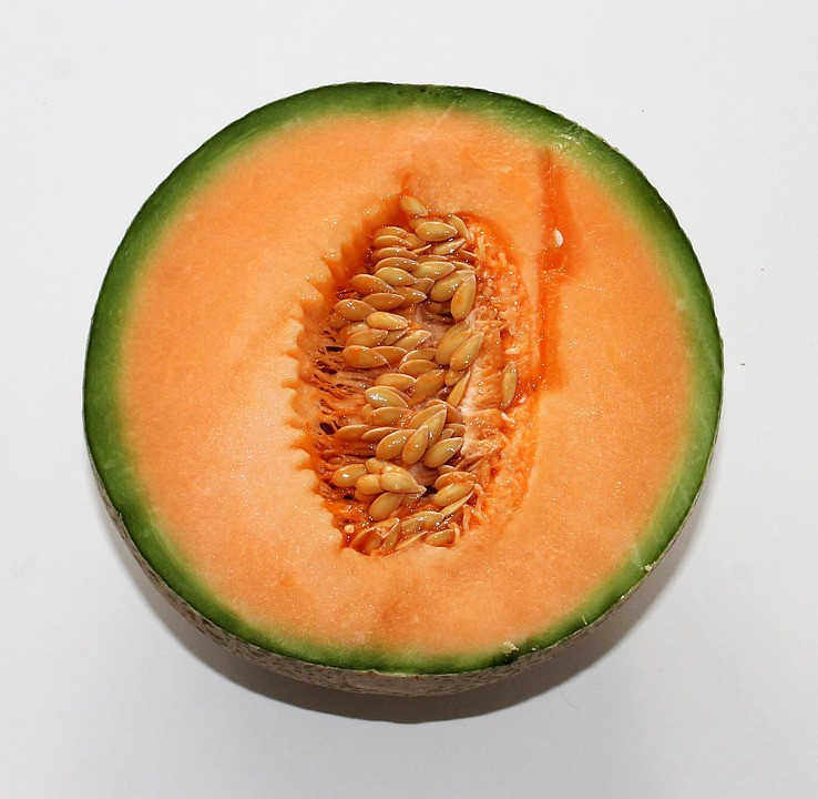 Melon playground pc